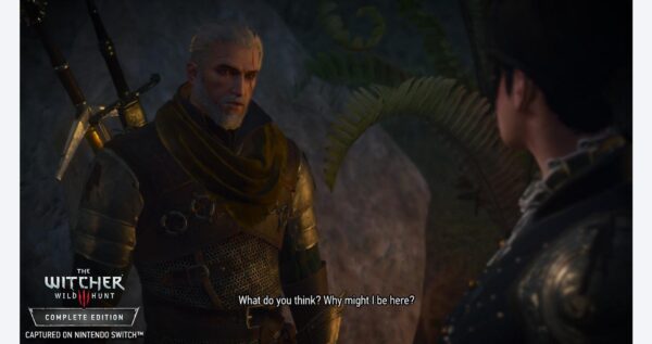 The Witcher III: Wild Hunt - Nintendo Switch - Image 5